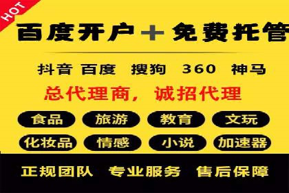 热门SEM运营公司案例深度剖析